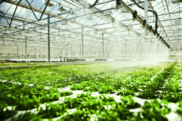 農藥殘留水蜜桃在线视频儀走進壽光市蔬菜基地
